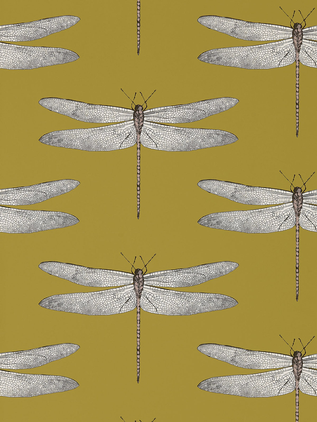 Harlequin yellow demoiselle wallpaper, imported from the UK