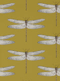 Harlequin yellow demoiselle wallpaper, imported from the UK