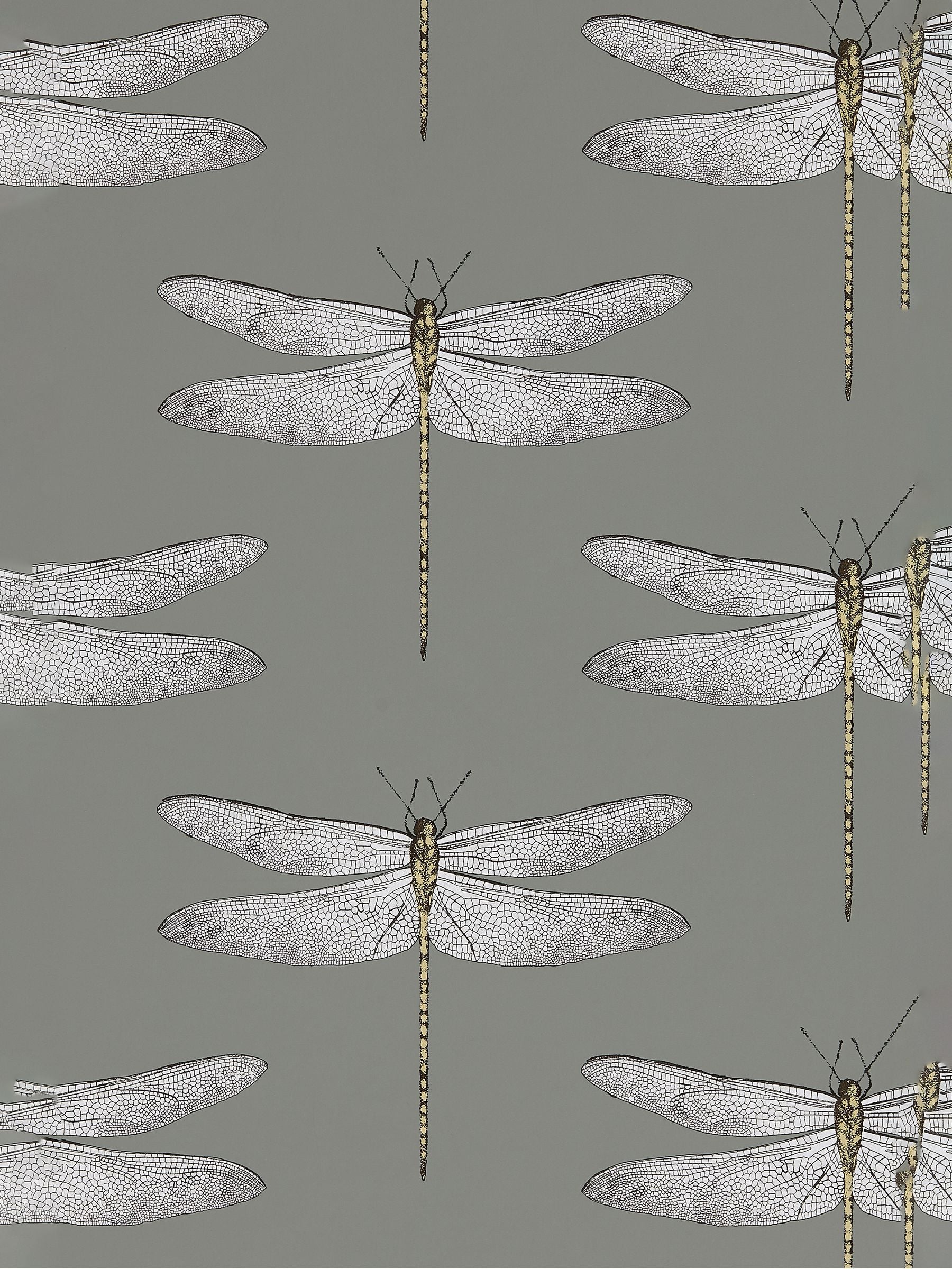 Harlequin Grey Demoiselle wallpaper 10.05m - British product