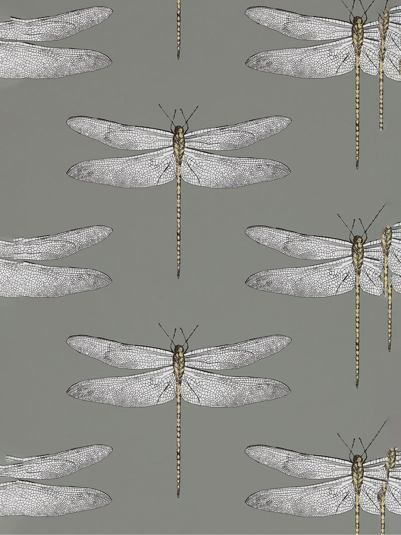 Harlequin Grey Demoiselle wallpaper 10.05m - British product