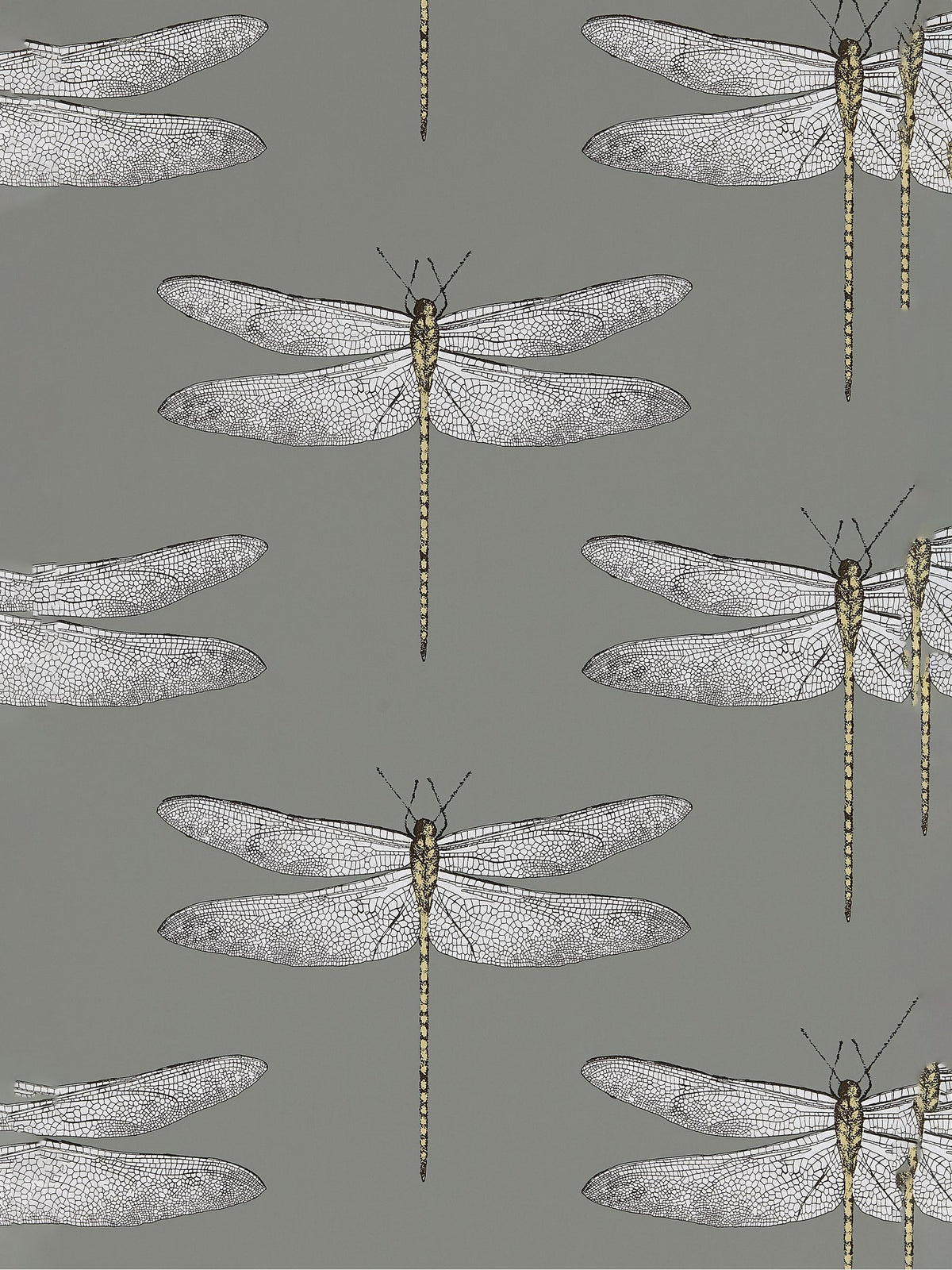 Harlequin Grey Demoiselle wallpaper 10.05m - British product
