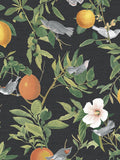 Graham & Brown Black Amalfi wallpaper sample, imported from the UK