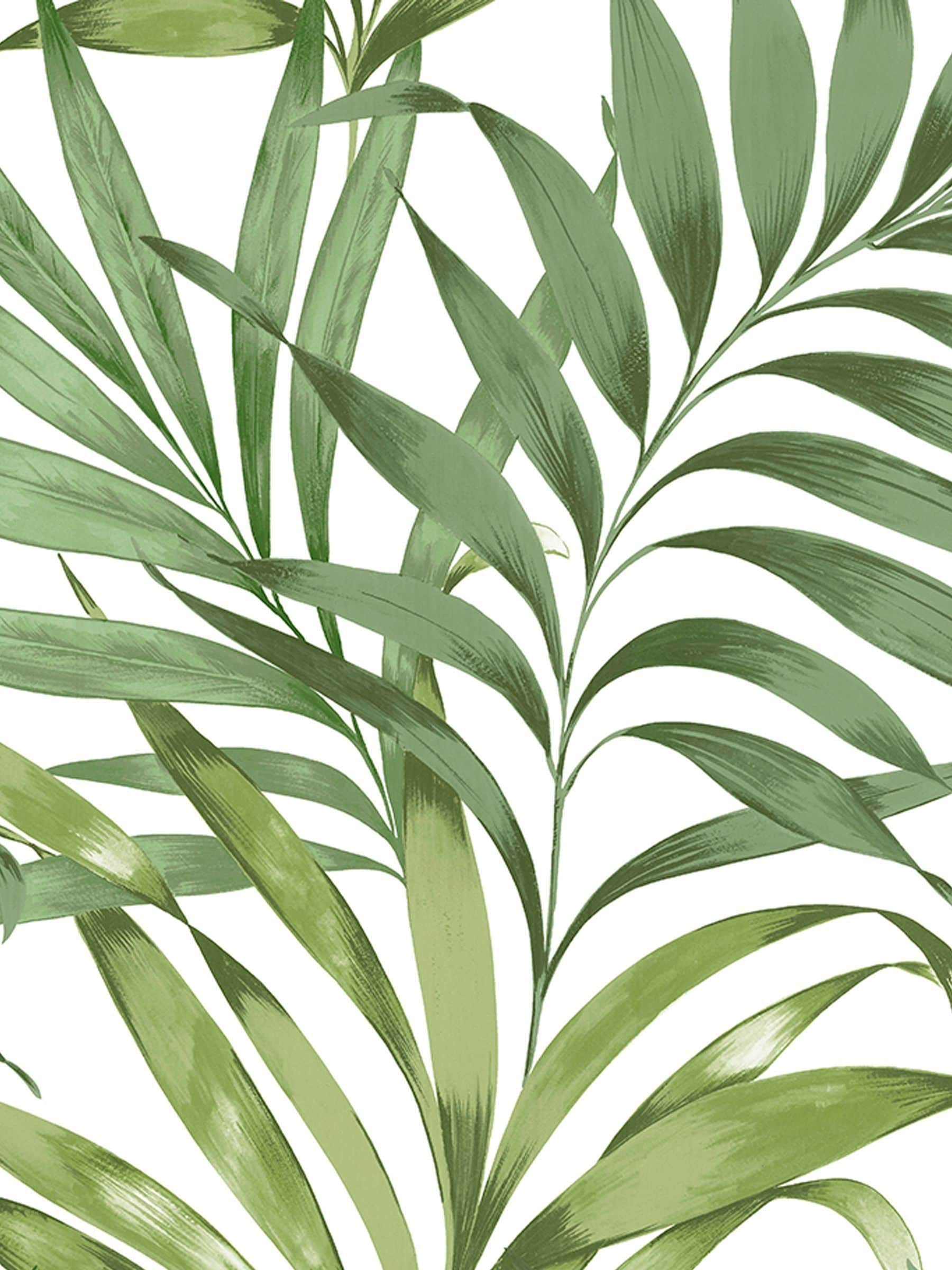 Graham & Brown wallpaper sample Lush Green Yasuni (British brand)
