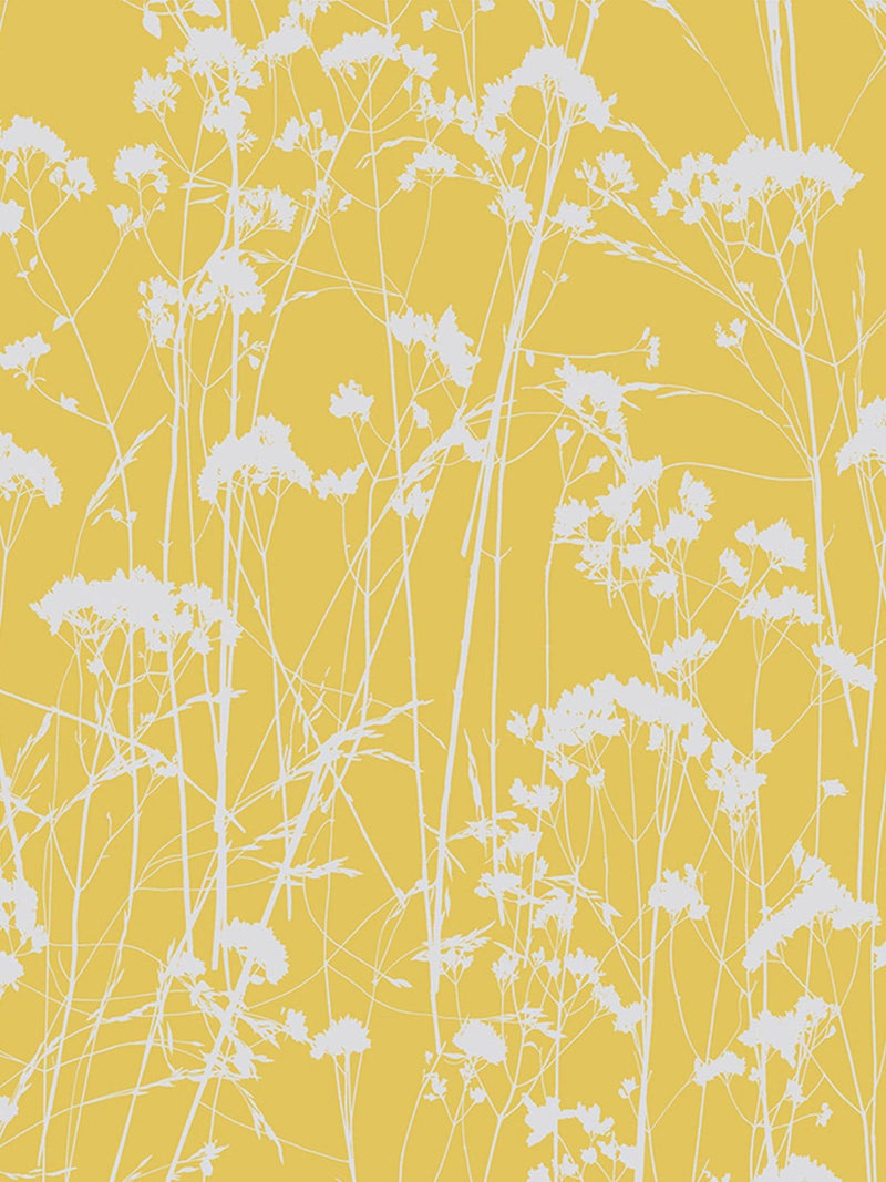 Graham & Brown Summer Yellow Grace Wallpaper, imported from the UK