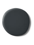 Graham & Brown Black Cab paint, imported from the UK