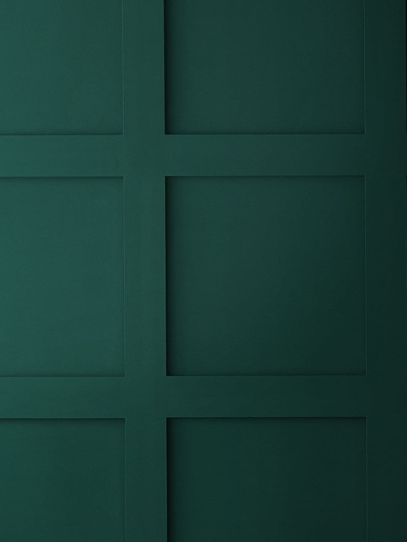 Graham & Brown Adeline Green emulsion paint (British brand)
