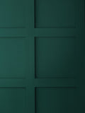Graham & Brown Adeline Green emulsion paint (British brand)