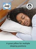 Sealy Anti Allergy Pillows Set of 2 (British brand)