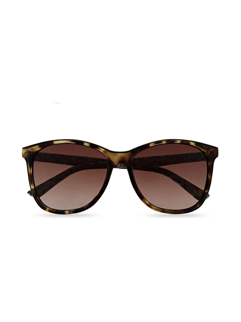 Ted Baker Braune Amie Sonnenbrille Schildpatt-Rahmen - importiert aus Großbritannien