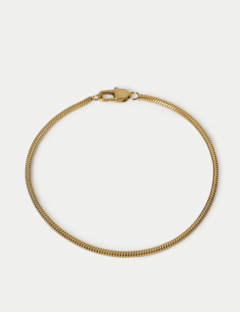 Autograph Auto Snake Chain Bracelet (British brand)
