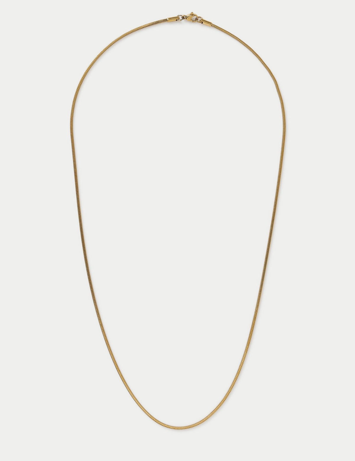 AUTOGRAPH Auto Snake Chain Necklace