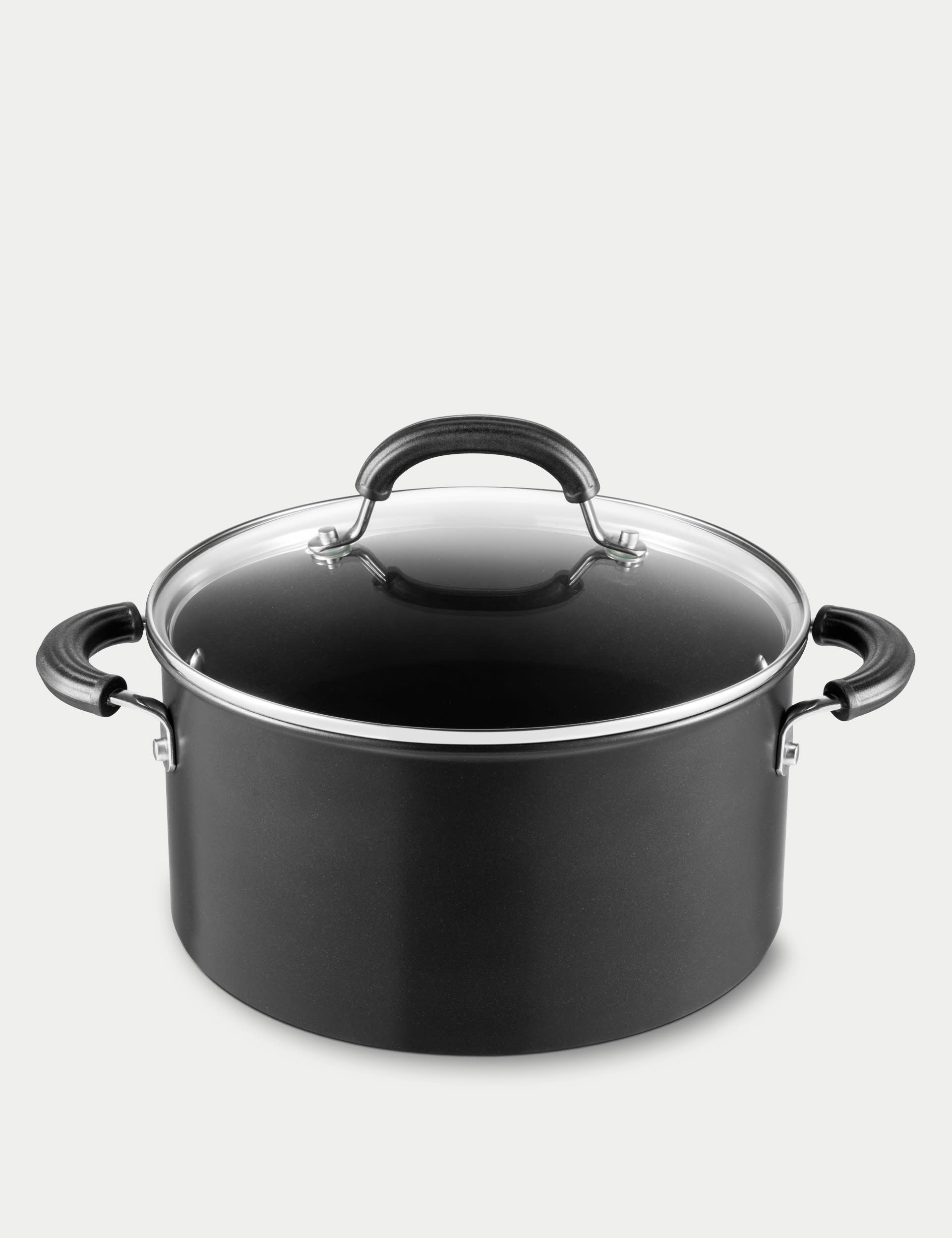 Total induction stockpot with lid 24cm 5.7L (British brand)