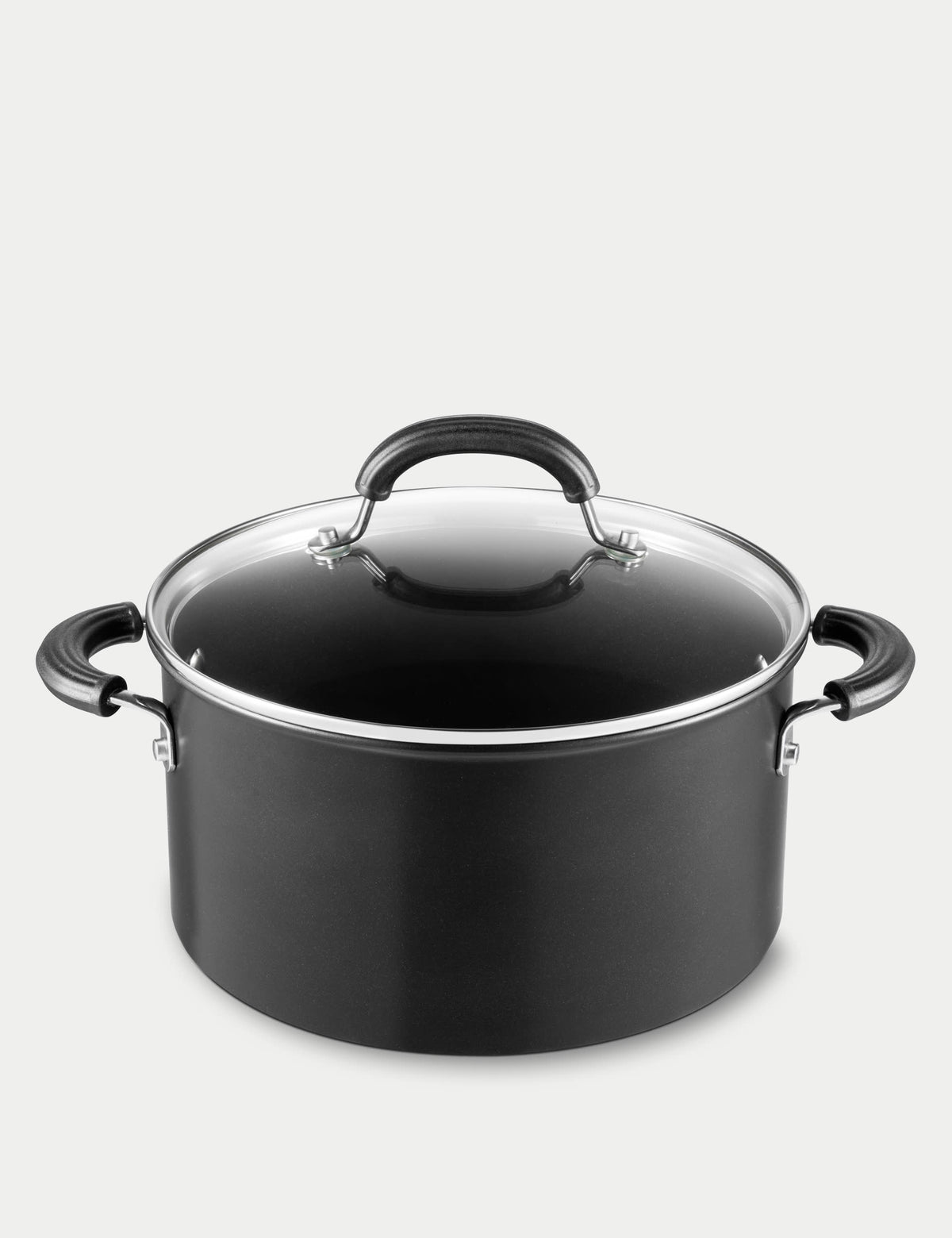 Total induction stockpot with lid 24cm 5.7L (British brand)