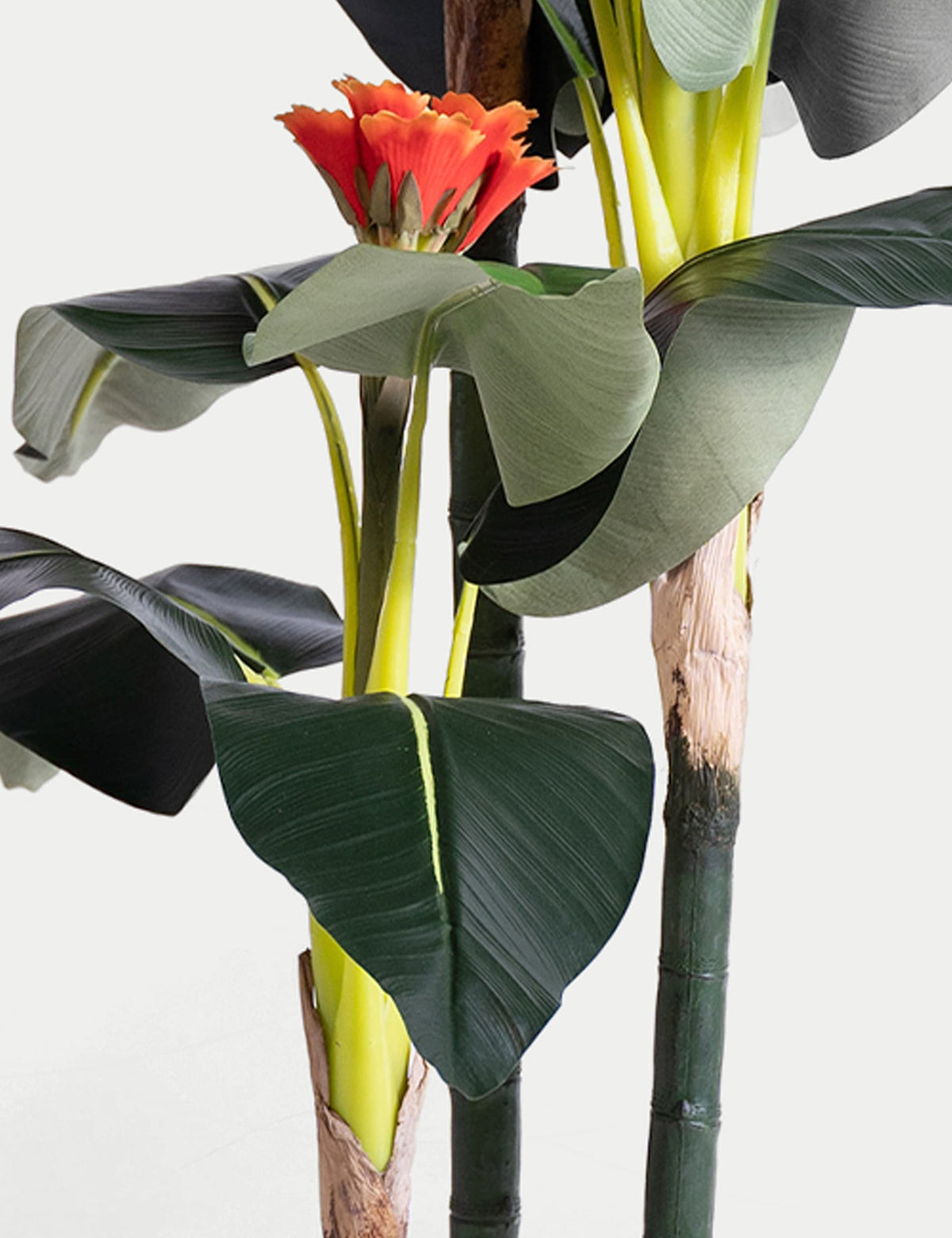 BLOOMA 6ft artificial banana tree in pot - British product