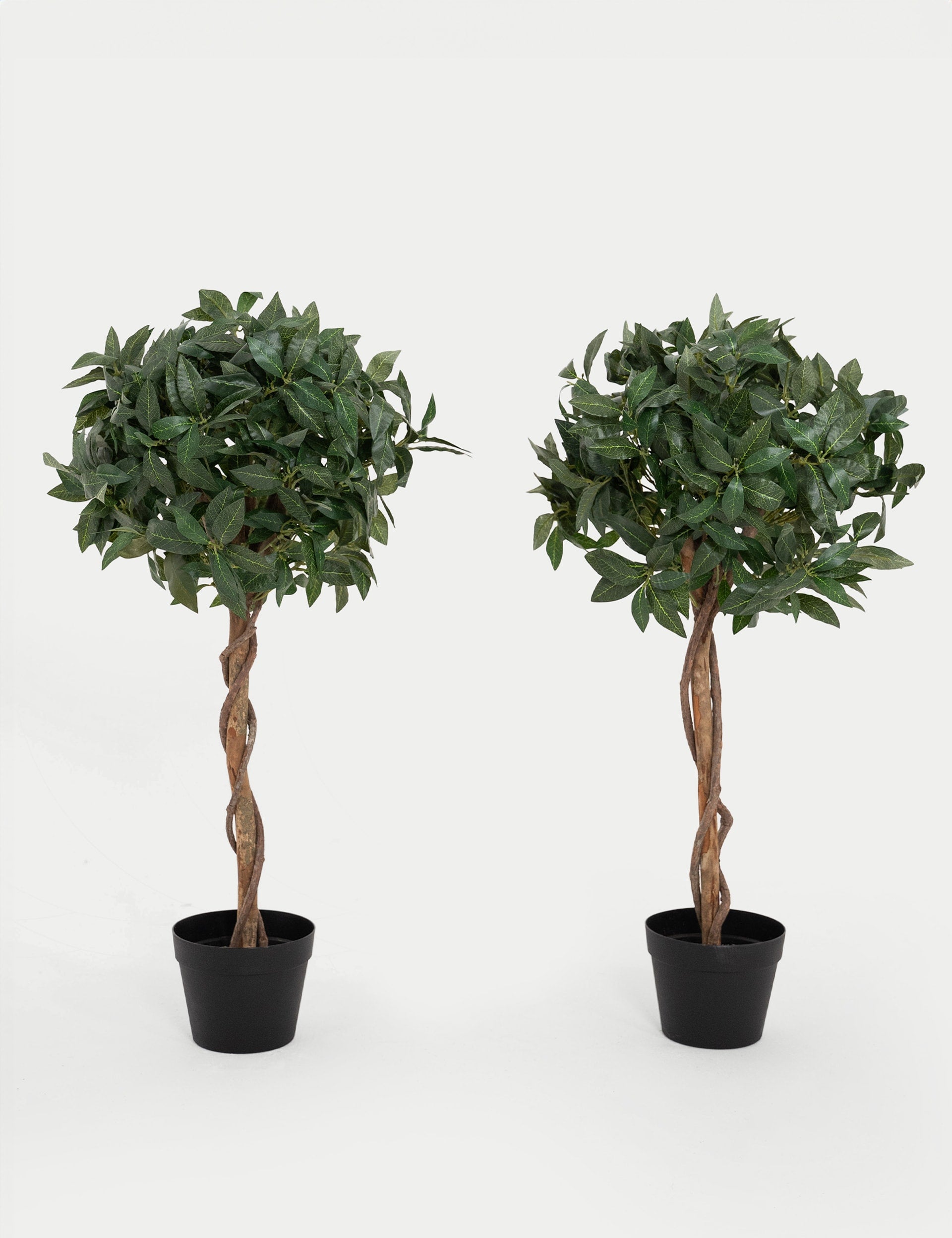 Blooma Artificial Bay Trees Set of 2 3ft (British brand)