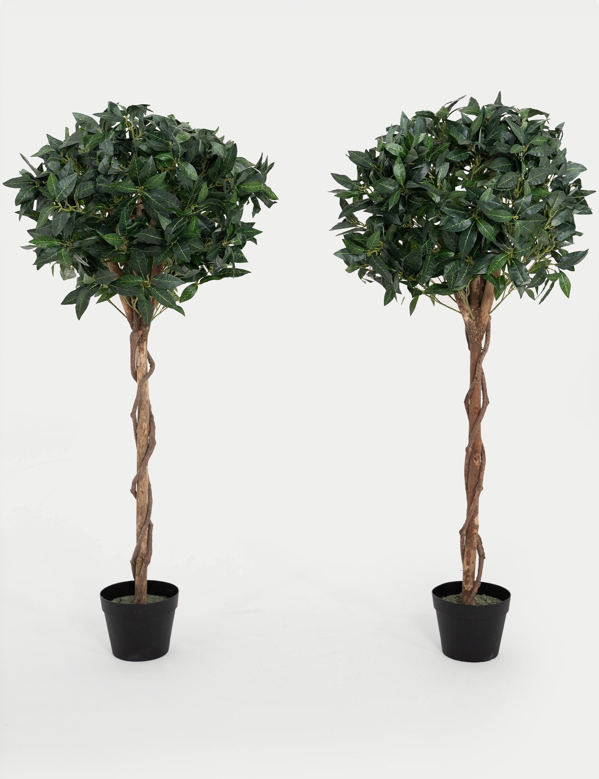 Blooma Artificial Bay Trees Set of 2 120cm (British brand)