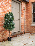 BLOOMA artificial bay cone tree 4ft - British product