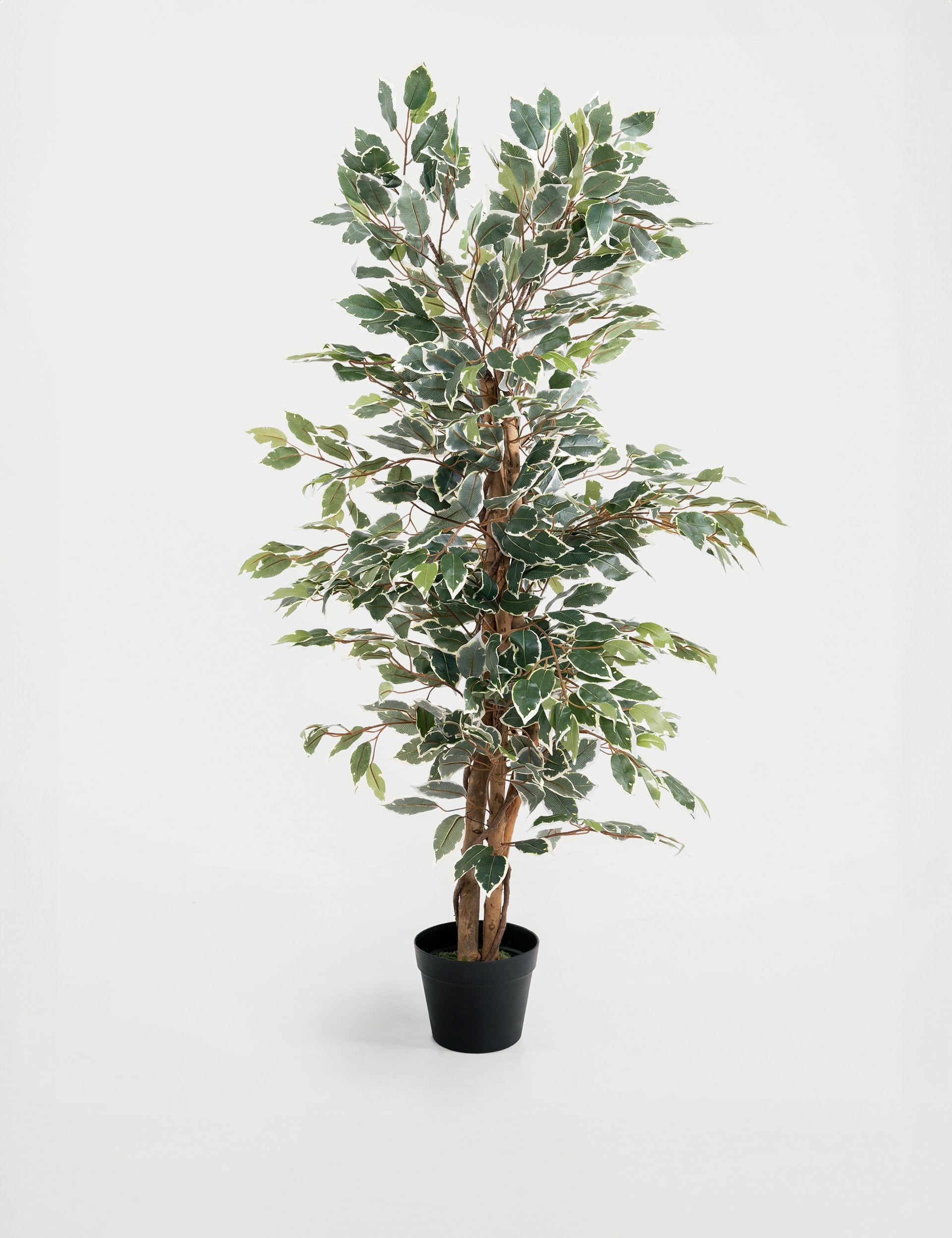 BLOOMA 4ft artificial ficus tree in pot - British product