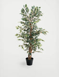 BLOOMA 4ft artificial ficus tree in pot - British product