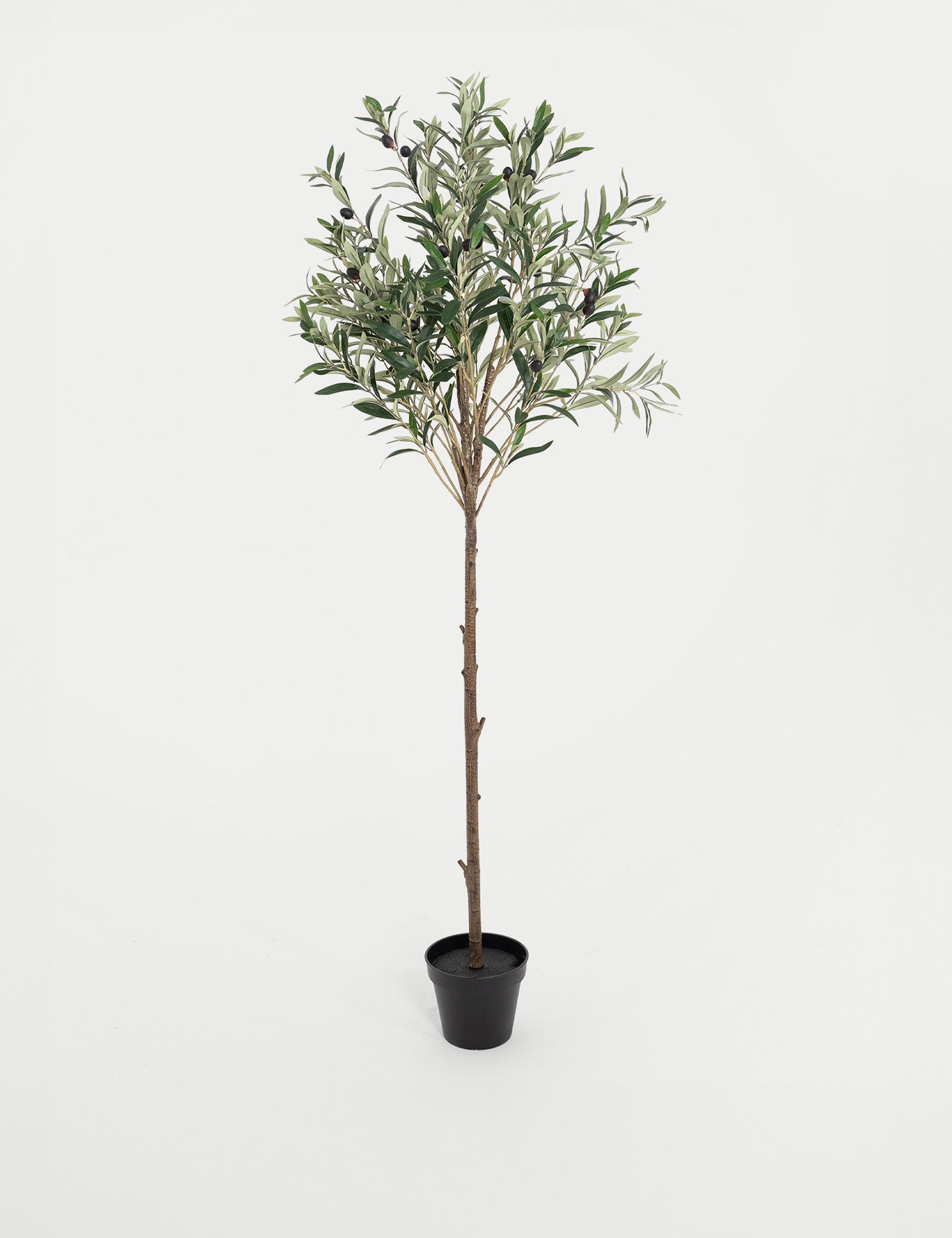 Blooming Artificial 4.5ft olive tree with fruits, imported from the UK