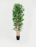 BLOOMA 6ft artificial bamboo tree - British product