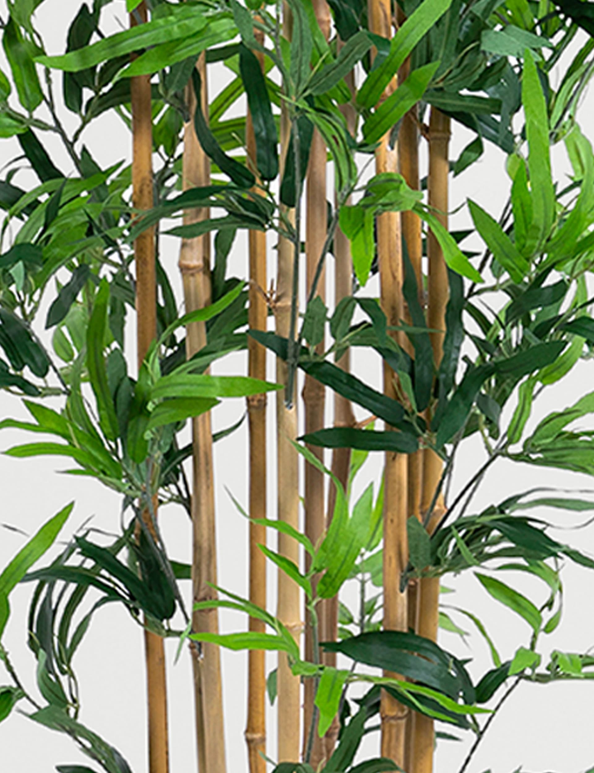 BLOOMA 6ft artificial bamboo tree - British product
