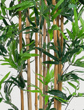 BLOOMA 6ft artificial bamboo tree - British product