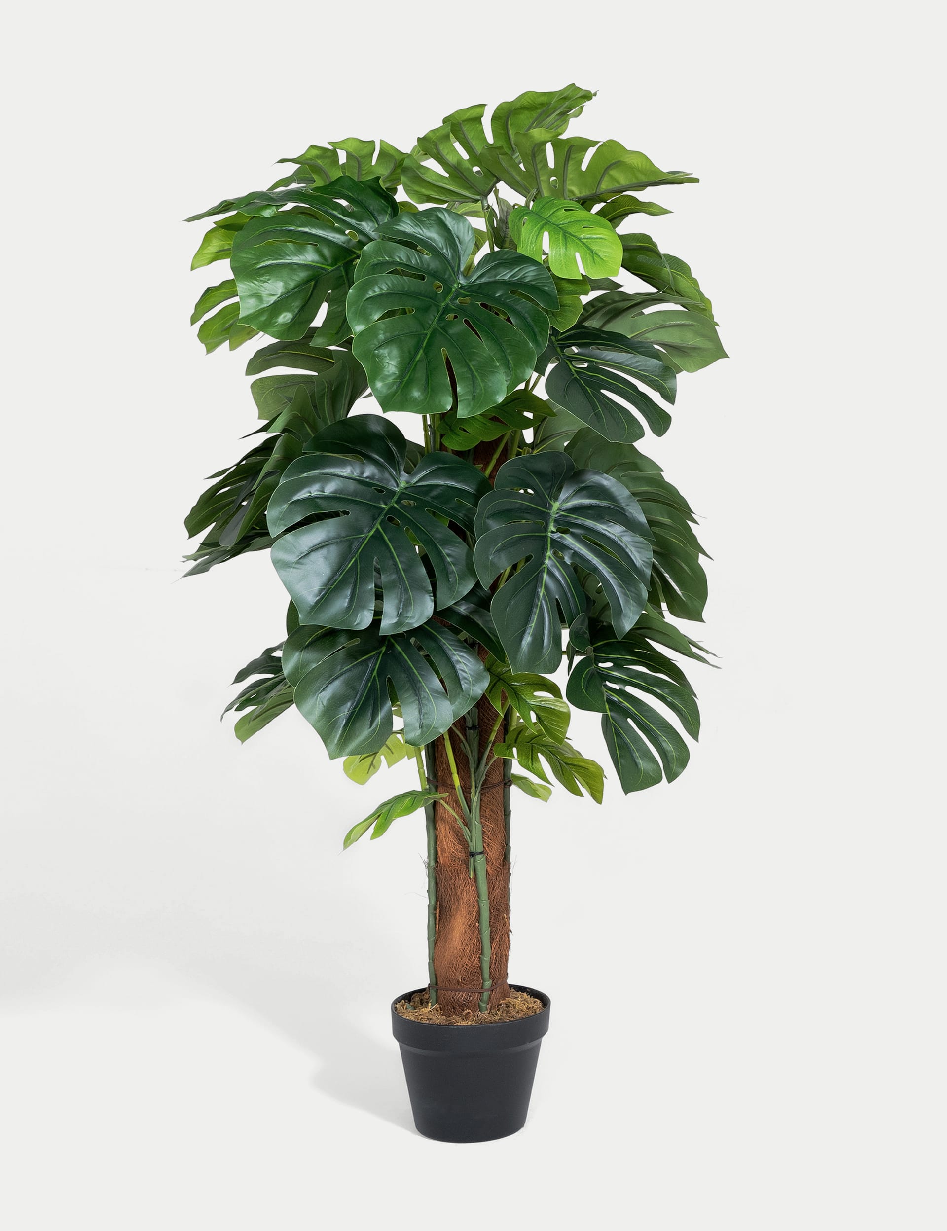 Blooming Artificial Monstera on pole 4ft (British brand)