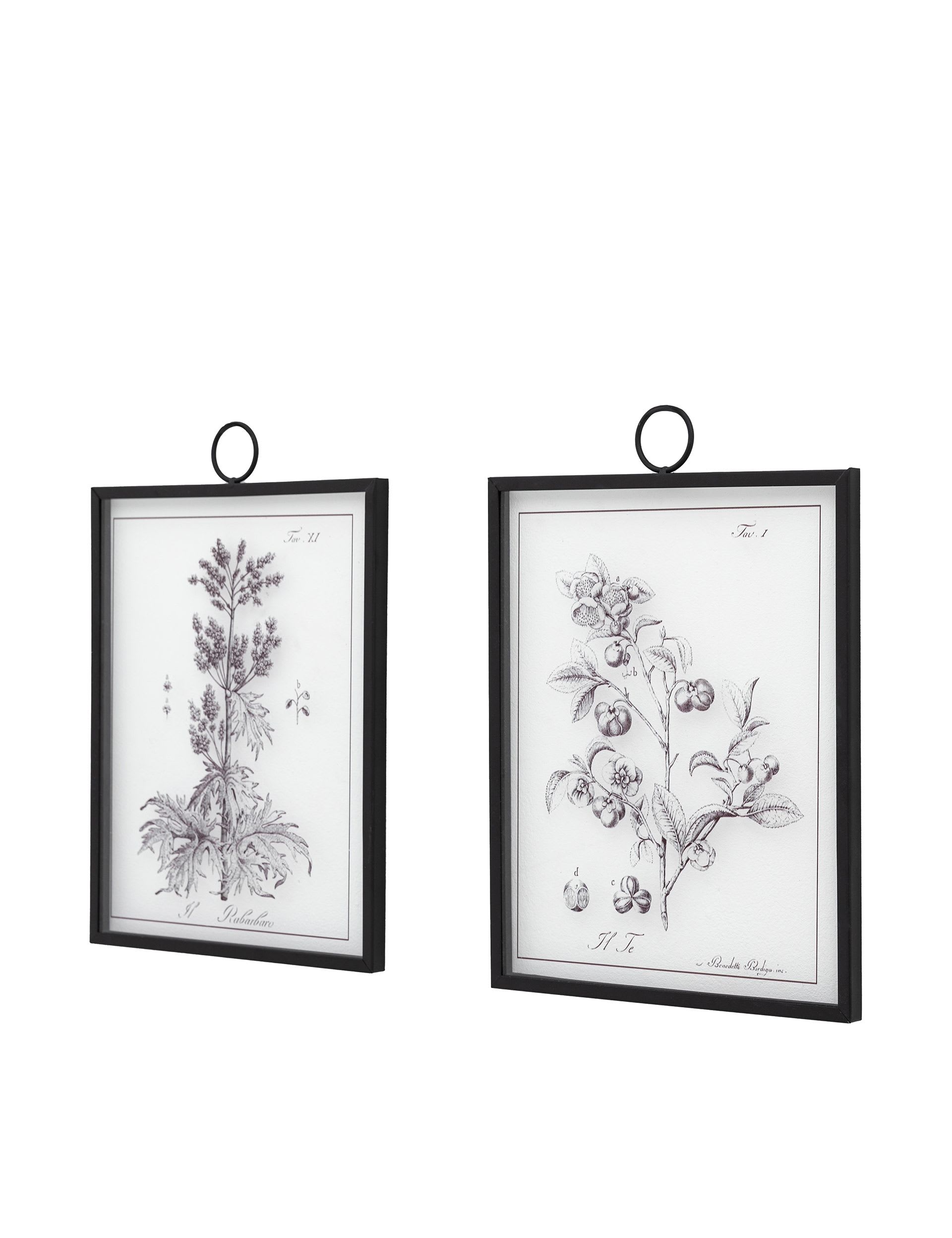 Gallery Direct petiole framed art set, imported from the UK