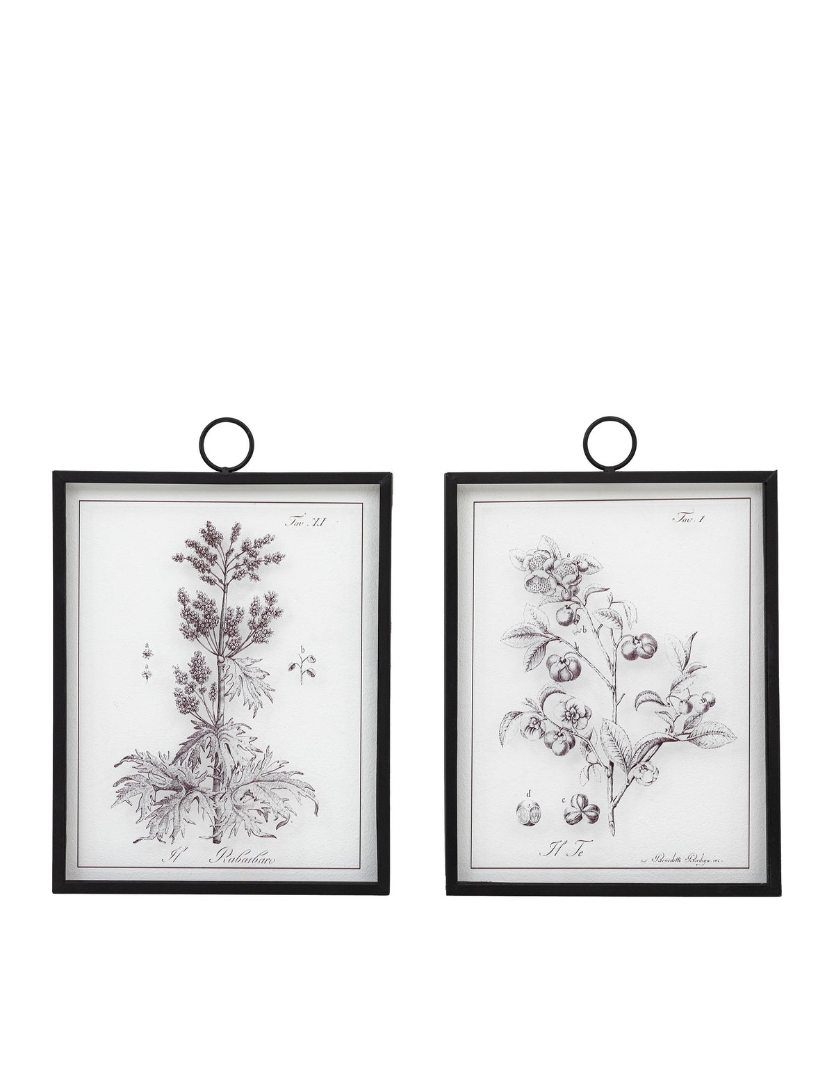 Gallery Direct petiole framed art set, imported from the UK