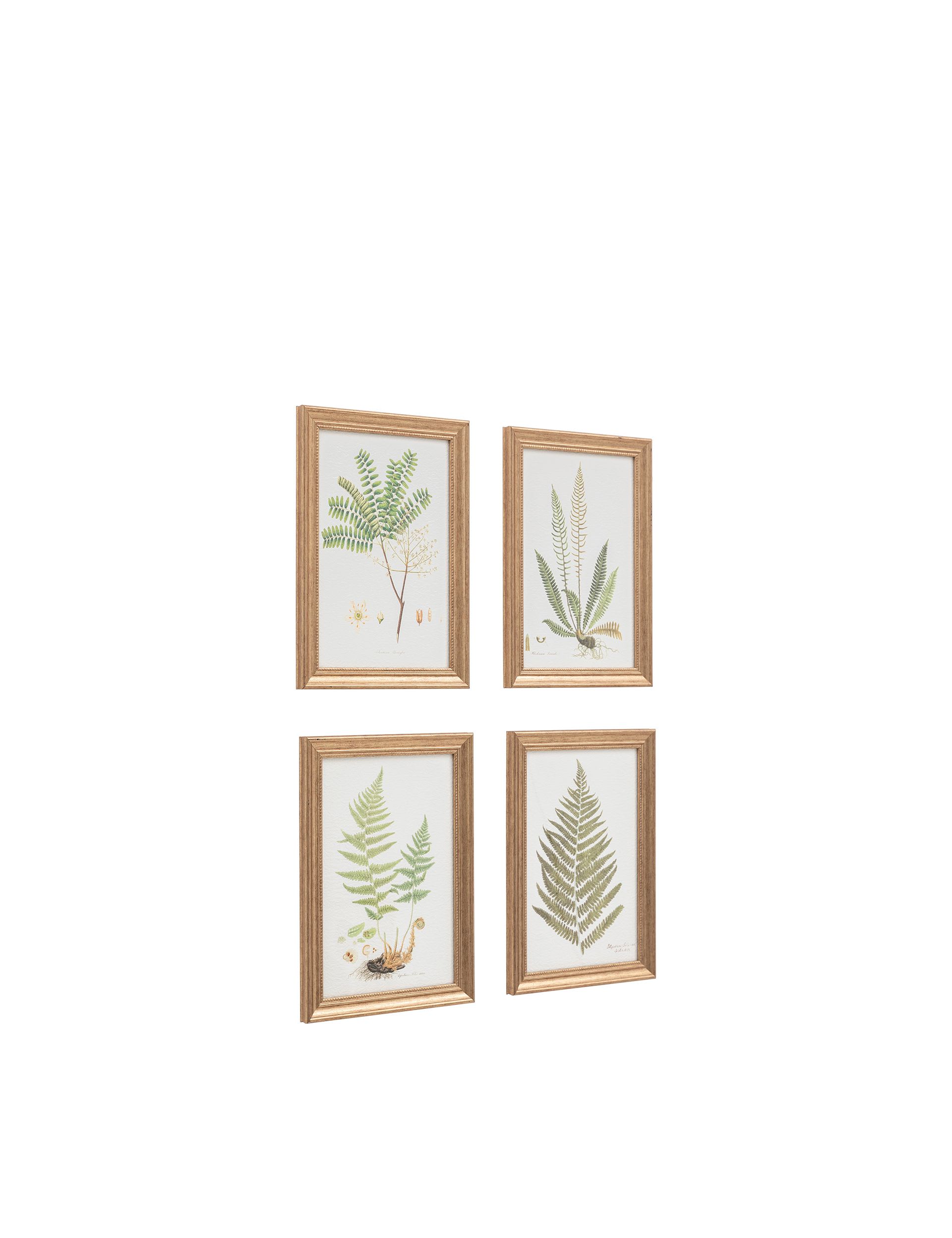 Gallery Direct assorted fern framed art set, imported from the UK