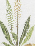 Gallery Direct assorted fern framed art set, imported from the UK