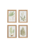 Gallery Direct assorted fern framed art set, imported from the UK