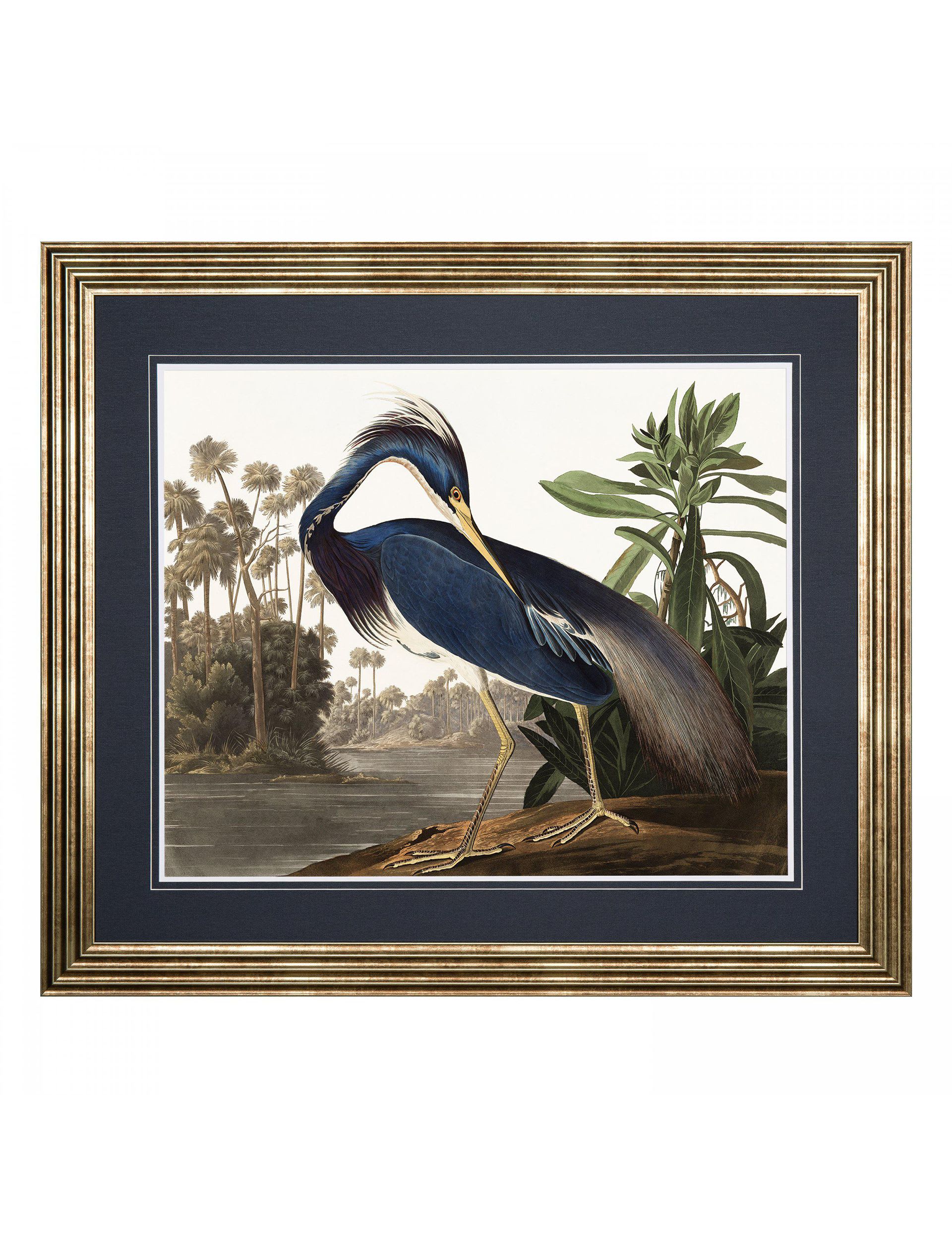 Gallery Direct framed art print Louisiana Heron large (British brand)