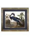 Gallery Direct framed art print Louisiana Heron large (British brand)