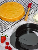Tala non-stick aluminium sandwich cake pan 20cm (British brand)
