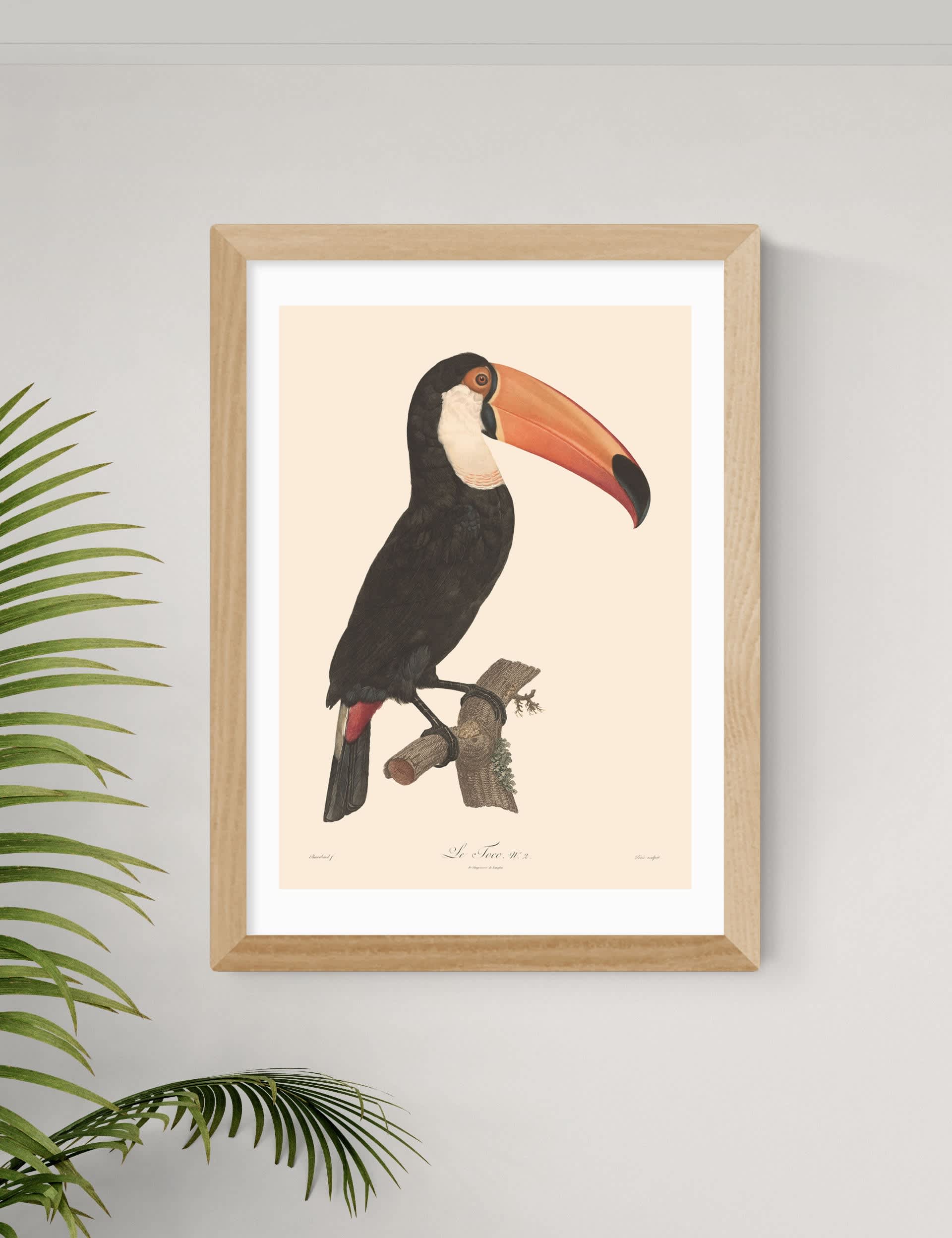 East End Prints Toucan by Aster Framed Art