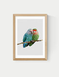 East End Prints two love birds framed art print, imported from the UK
