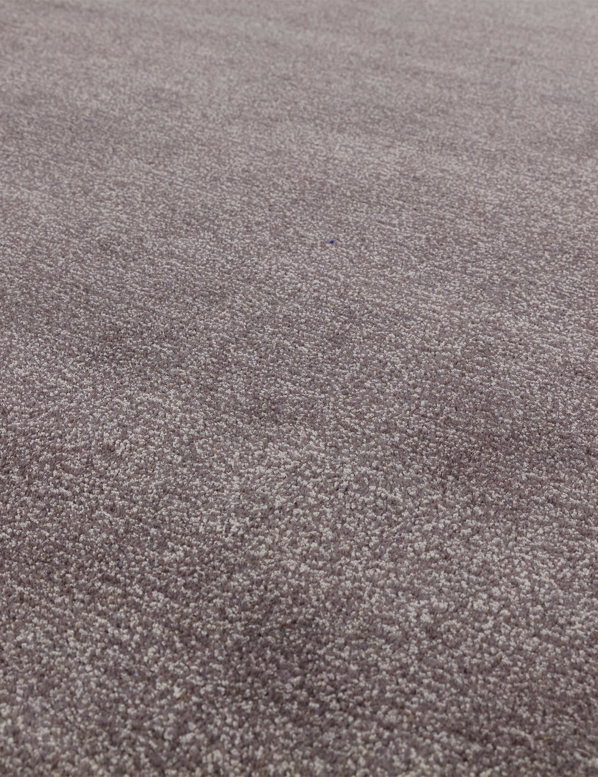 Asiatic Rise rug wool-rich contemporary design (British brand)