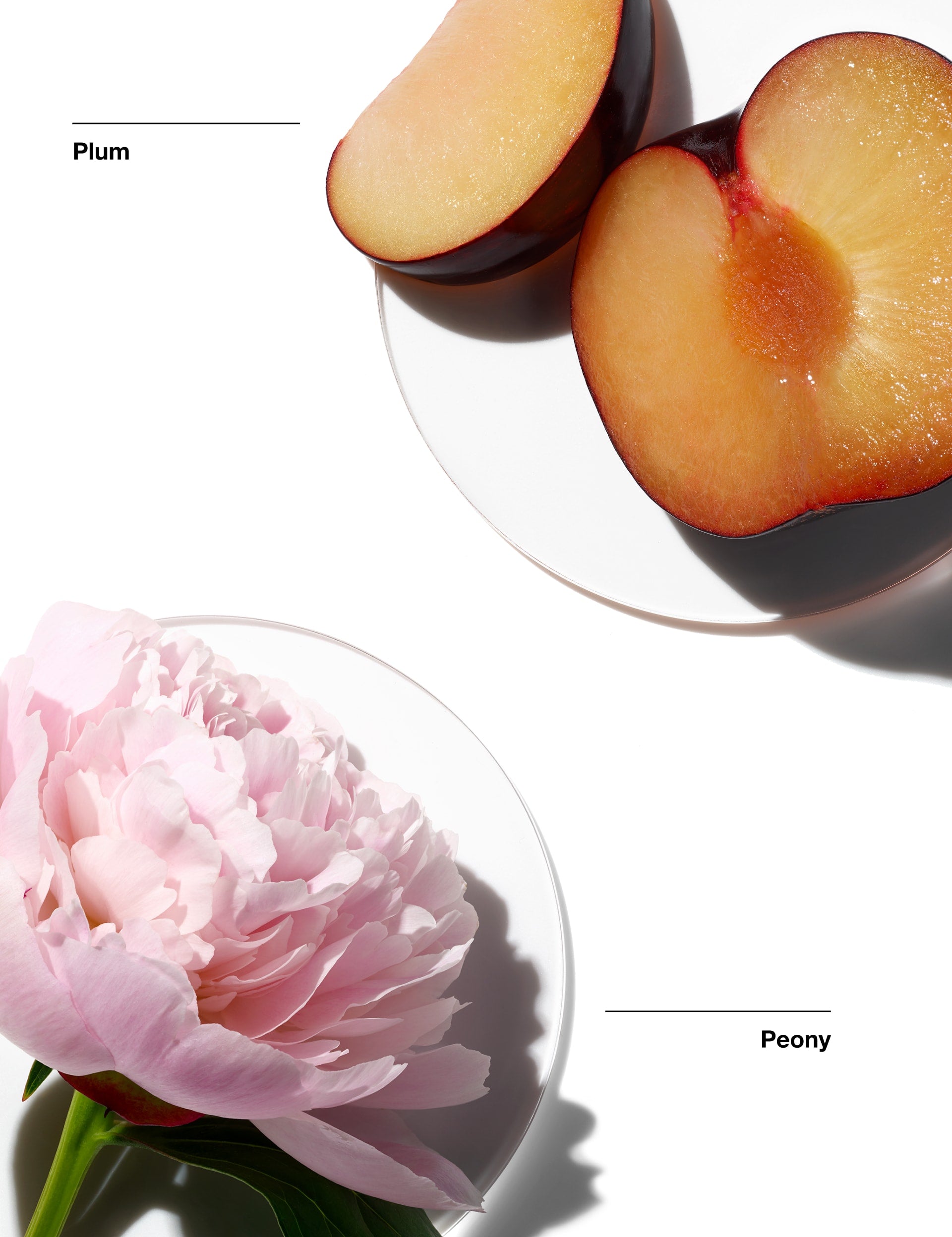 Clinique My Happy Peony Picnic fragrance mist 100ml, imported from the UK