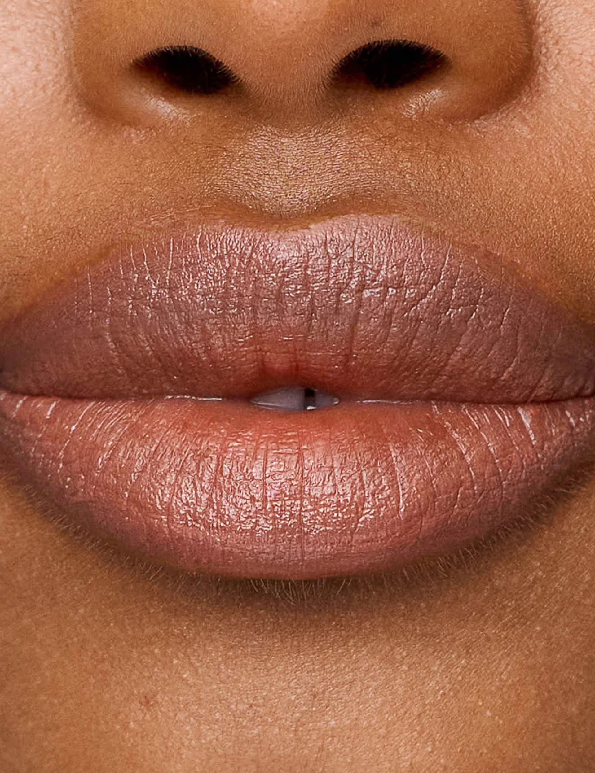Le Lipstick Nude Pink Lipstick 2.5g