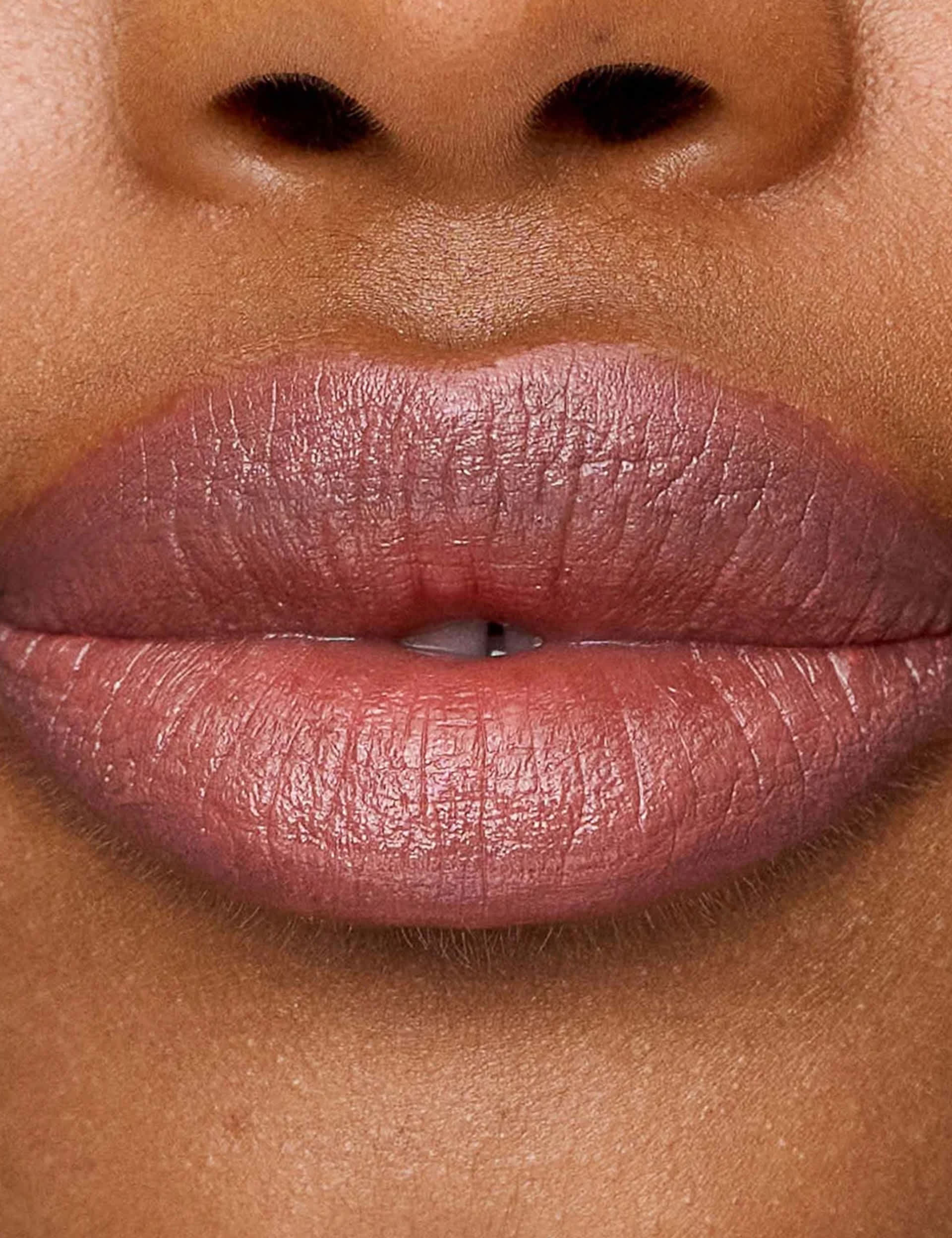 Le Lipstick Nude Pink Lipstick 2.5g