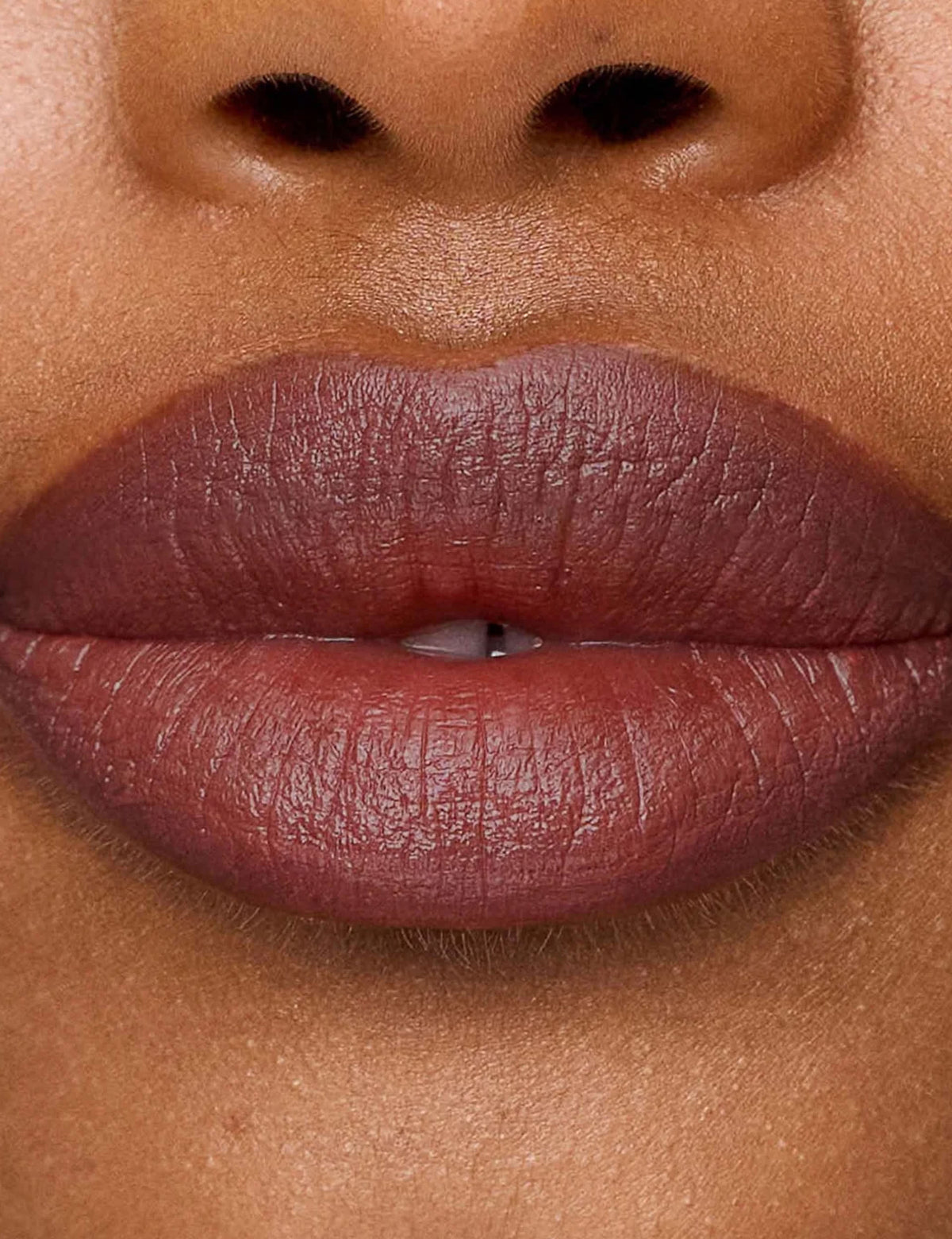 Le Lipstick Nude Pink Lipstick 2.5g