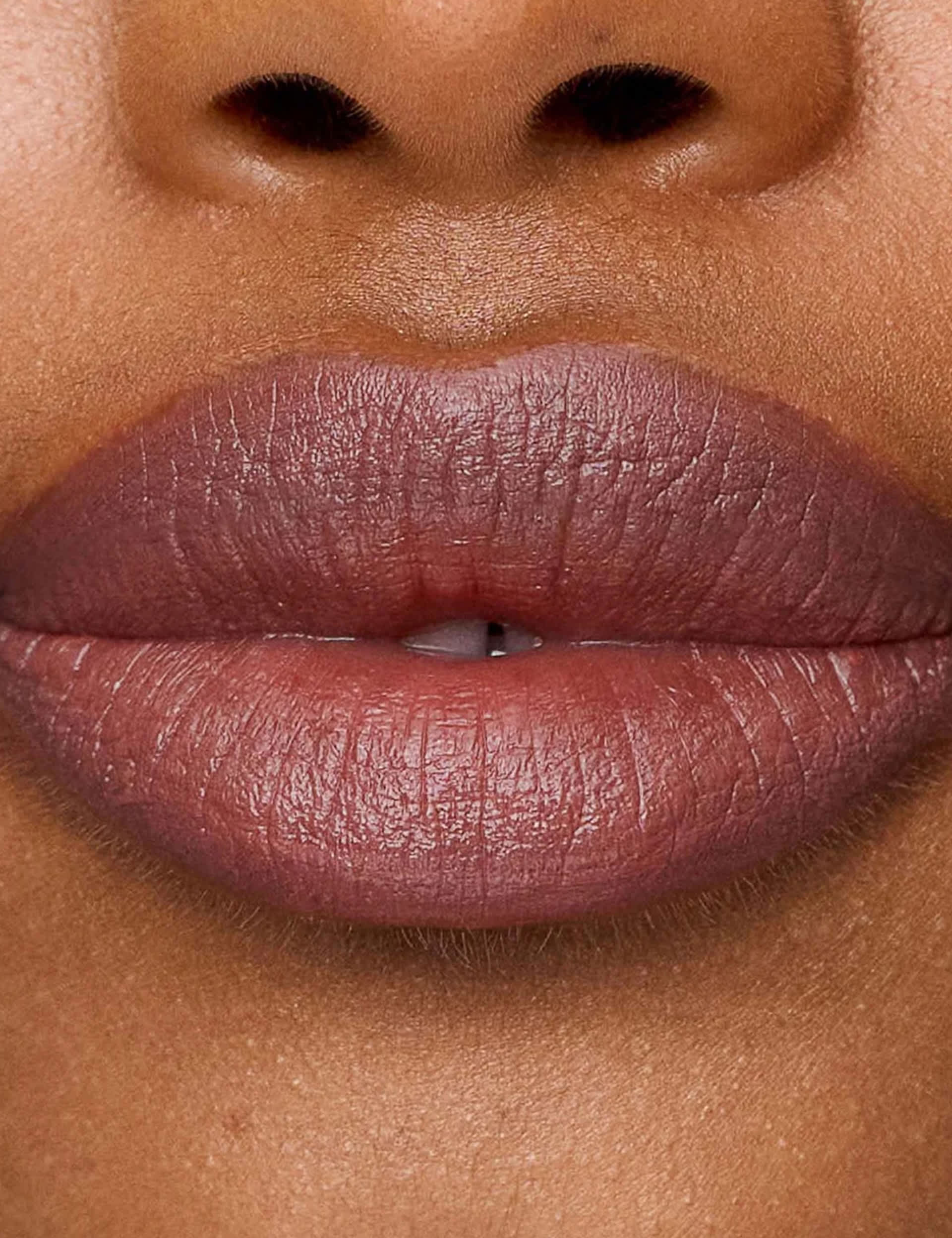 Le Lipstick Nude Pink Lipstick 2.5g