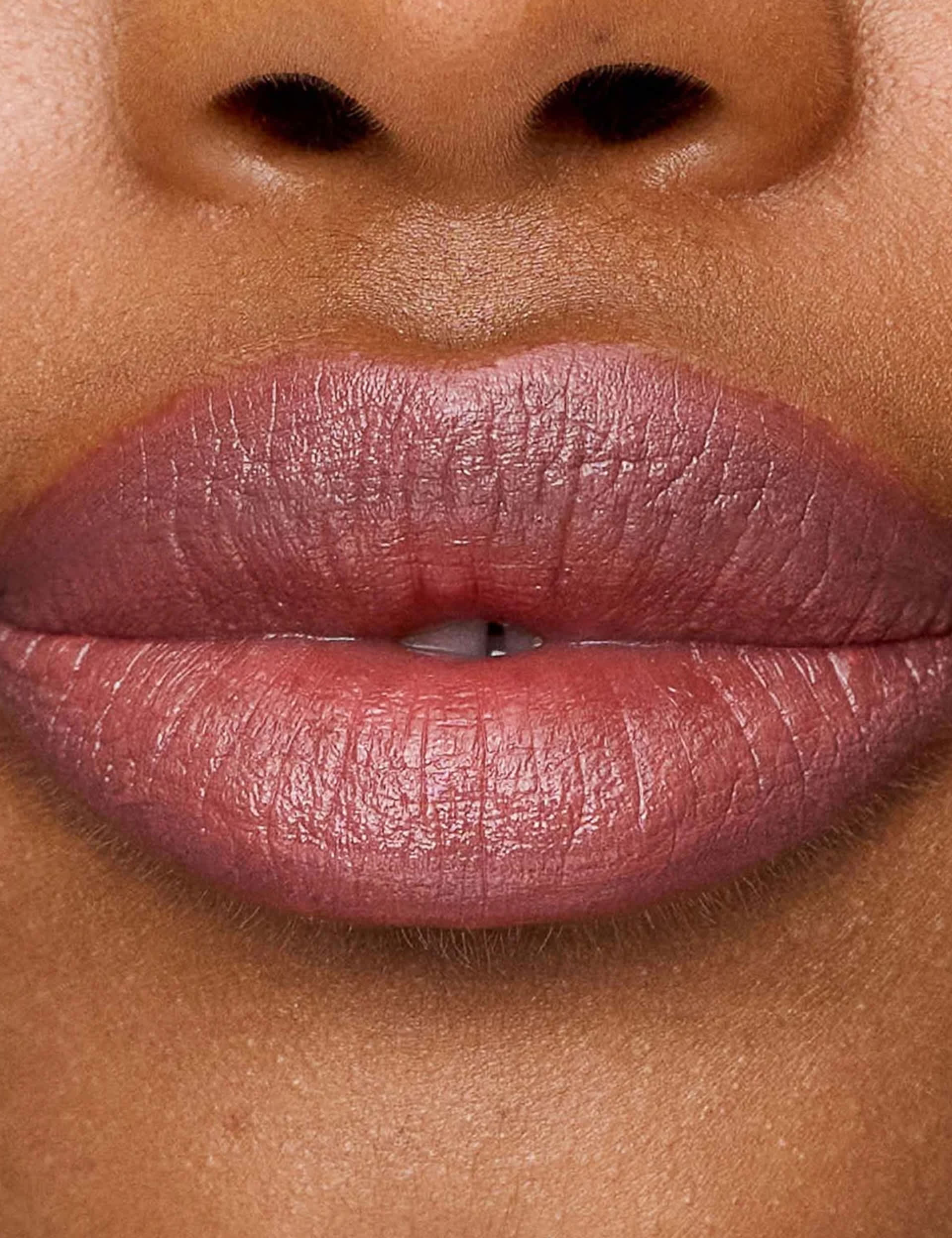 Le Lipstick Nude Pink Lipstick 2.5g