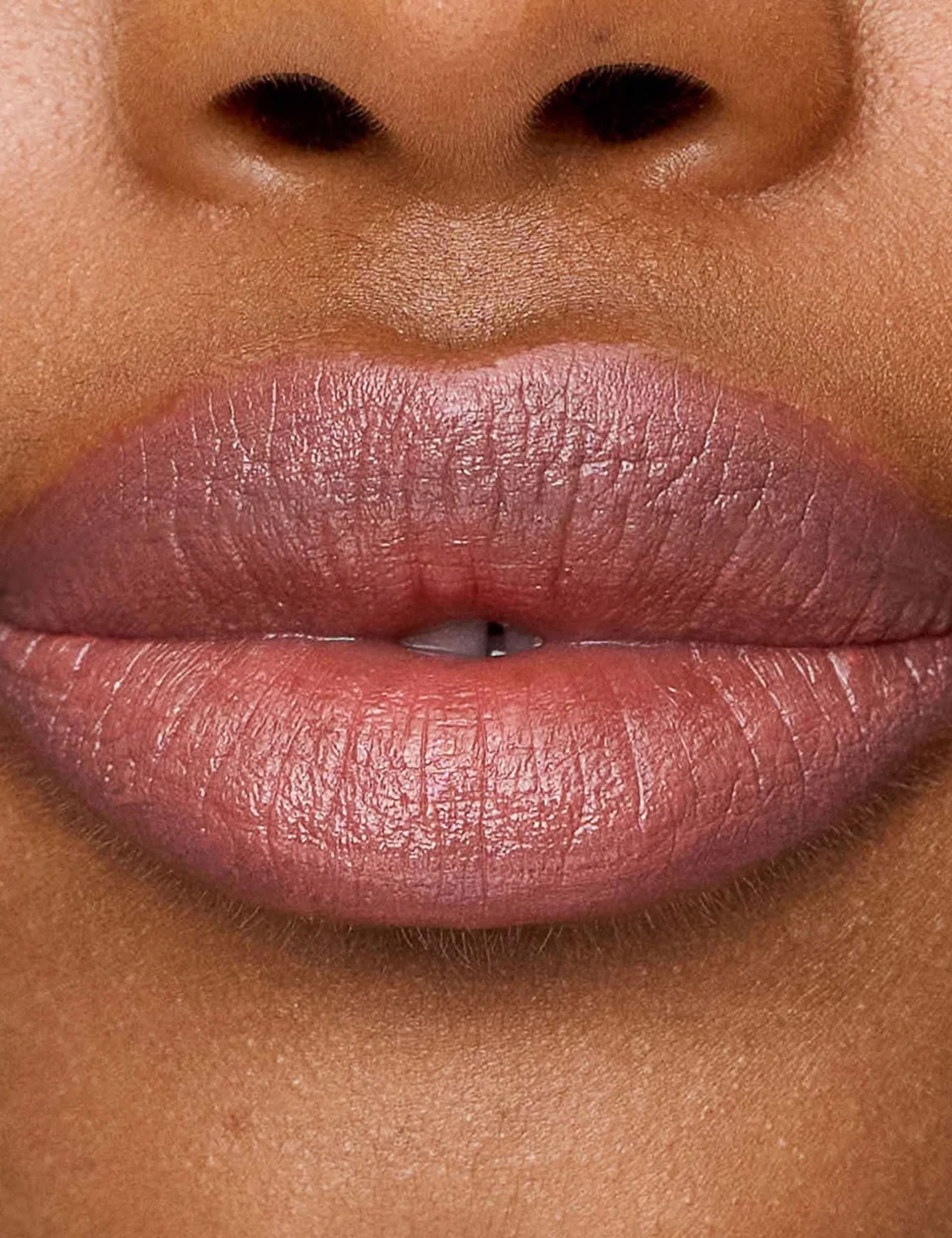 Le Lipstick Nude Pink Lipstick 2.5g