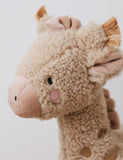 Personalised Giraffe Plush Toy GOODS M&S   