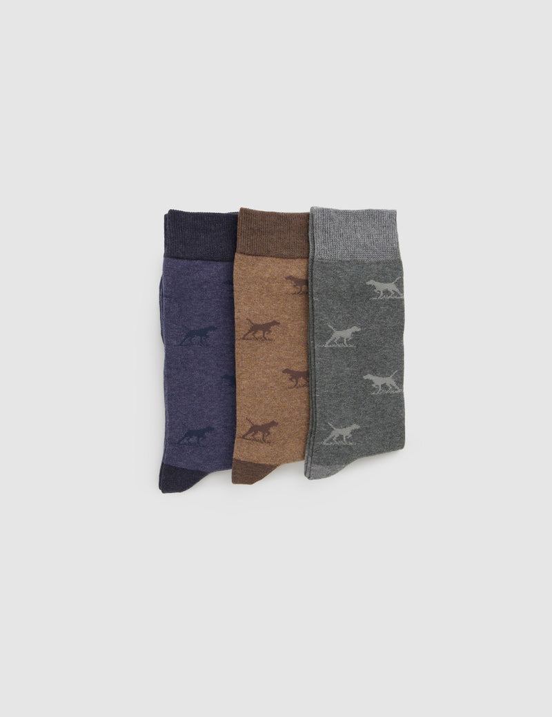Rodd & Gunn dog pattern socks 3 pack, imported from the UK