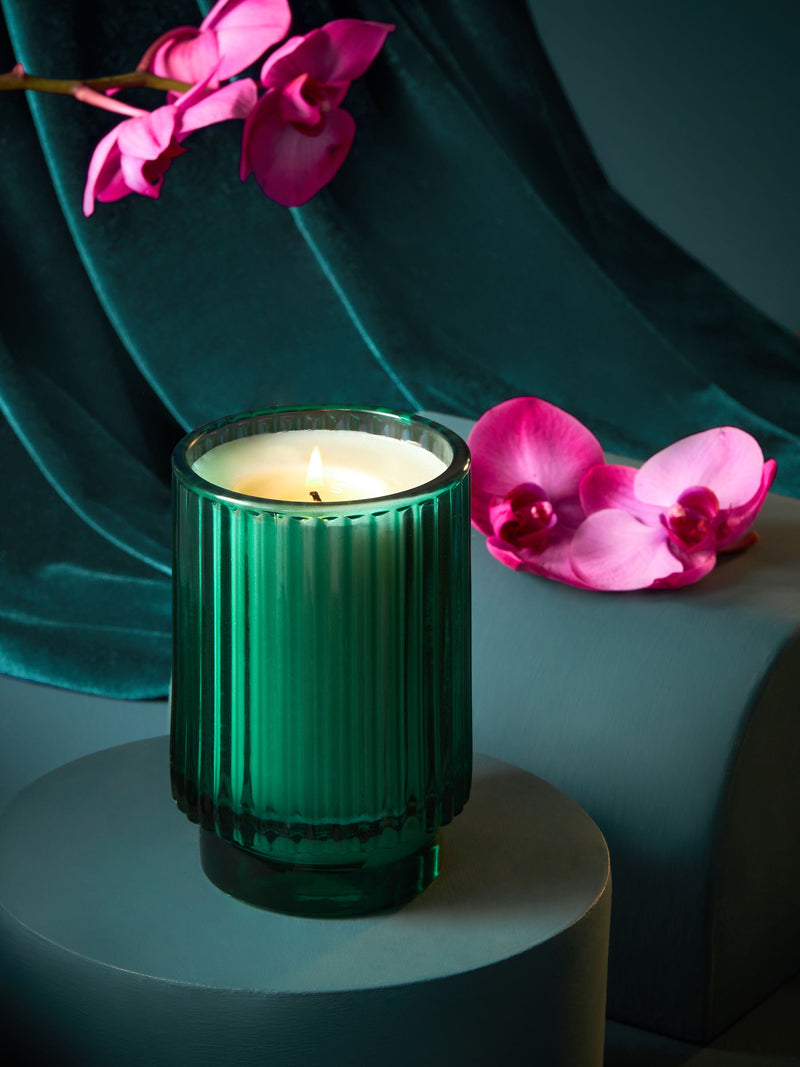 Dark Orchid and Patchouli Peacock Scented Candle Set of 3