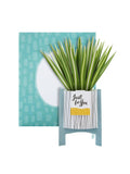Hallmark Green Little Hello Card 3D Pop Up Spider Plant